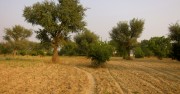 Retreats