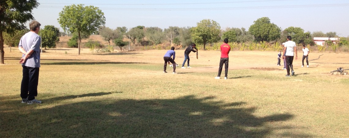 Cricket Pitch at Savista