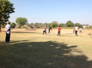 Cricket Pitch at Savista