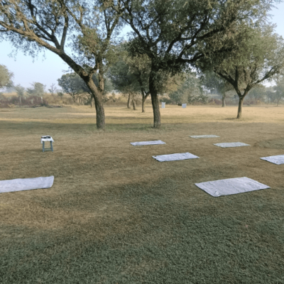 Yoga at savista