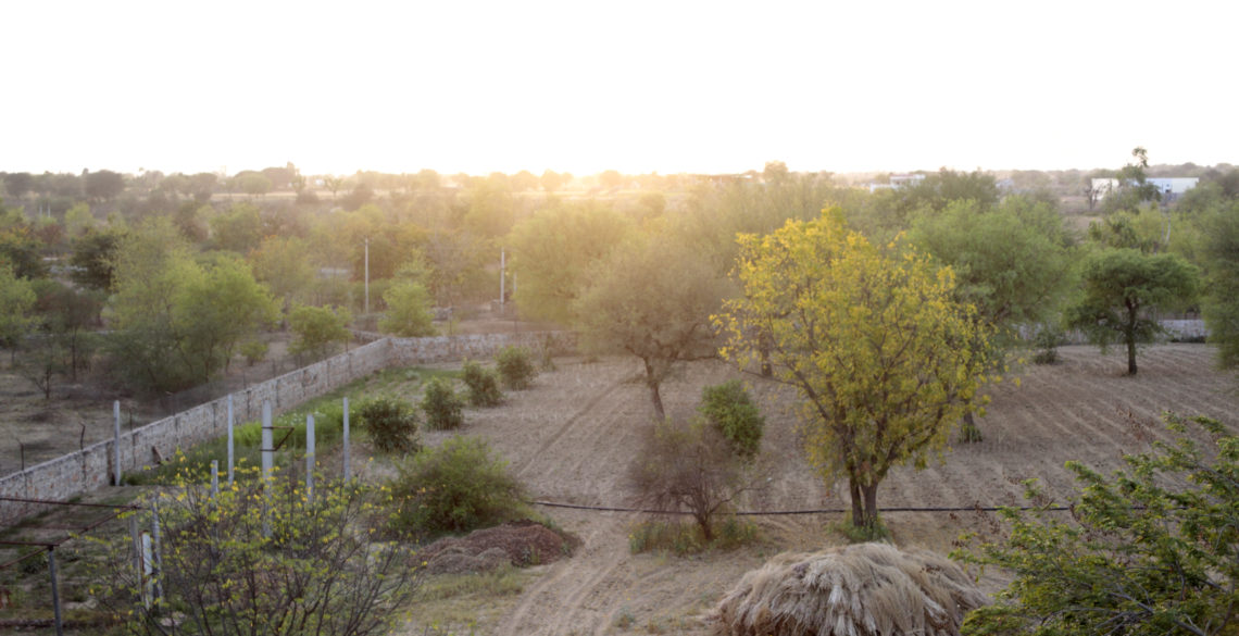 Jaipur Farm Hotel