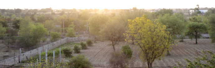 Jaipur Farm Hotel